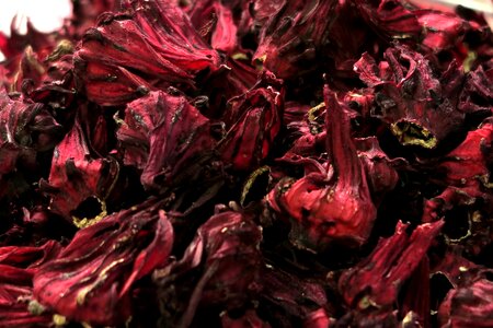 Roselle chinese medicine plant