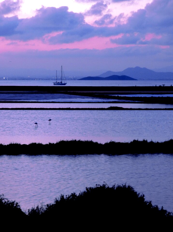 Marshes landscape