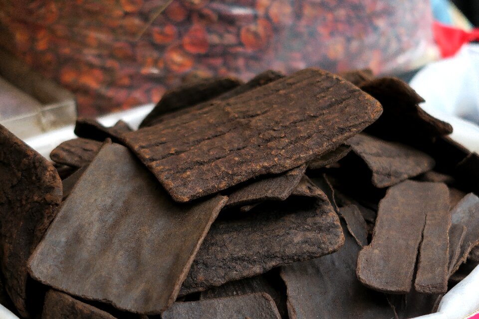 Eucommia chinese medicine herb