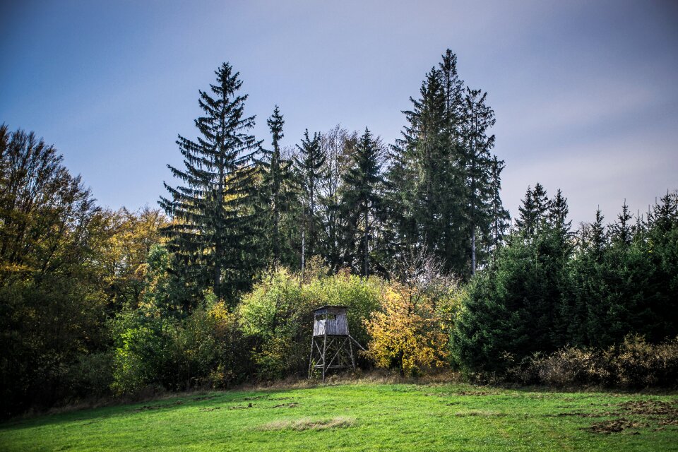Landscape trees autumn