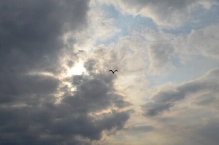 Cloud flight horizon photo