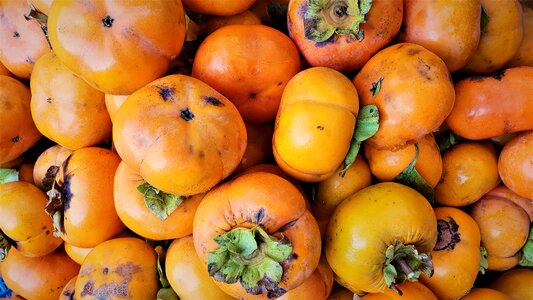 Autumn fruit persimmon