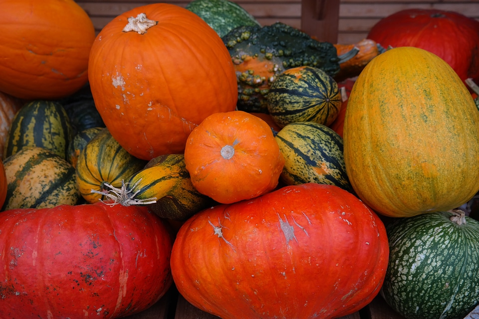 Sale varieties species
