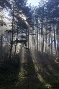 Mountain shadow sun