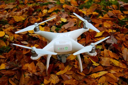 Drone leaves