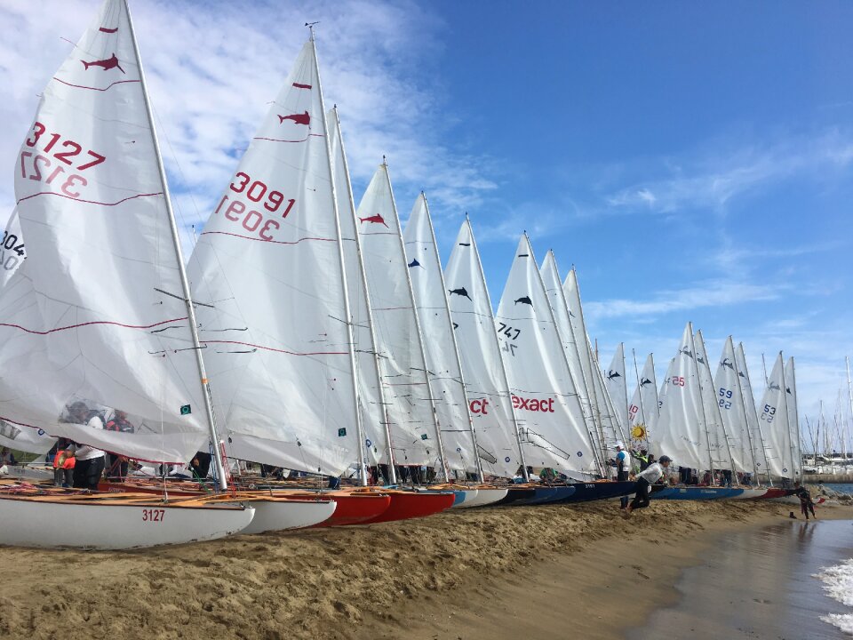 Catalunya cup blue cup
