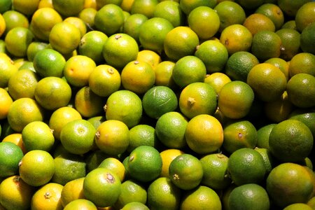 Fruit plant citrus