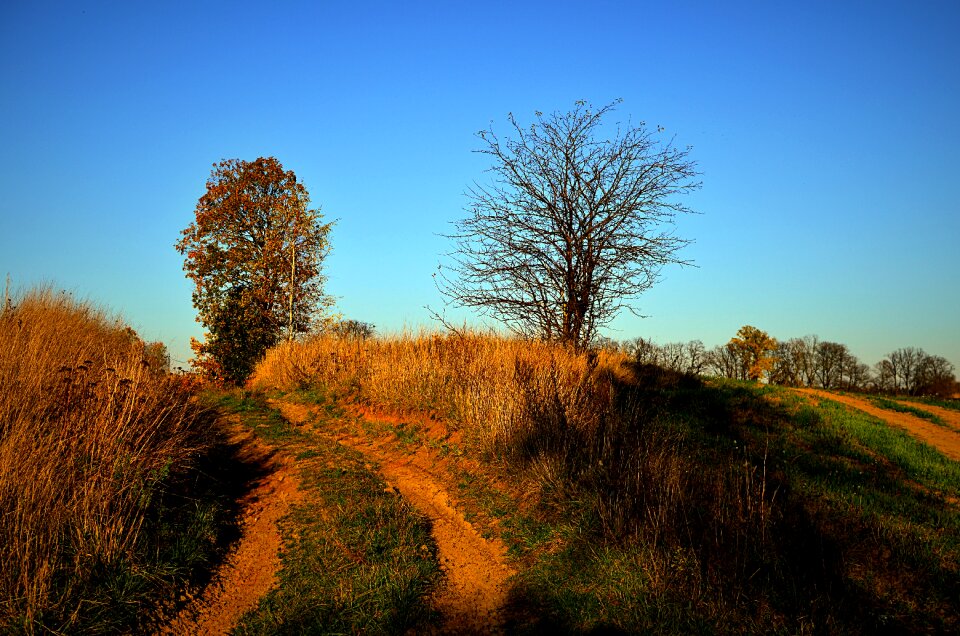 Field autumn pepowo