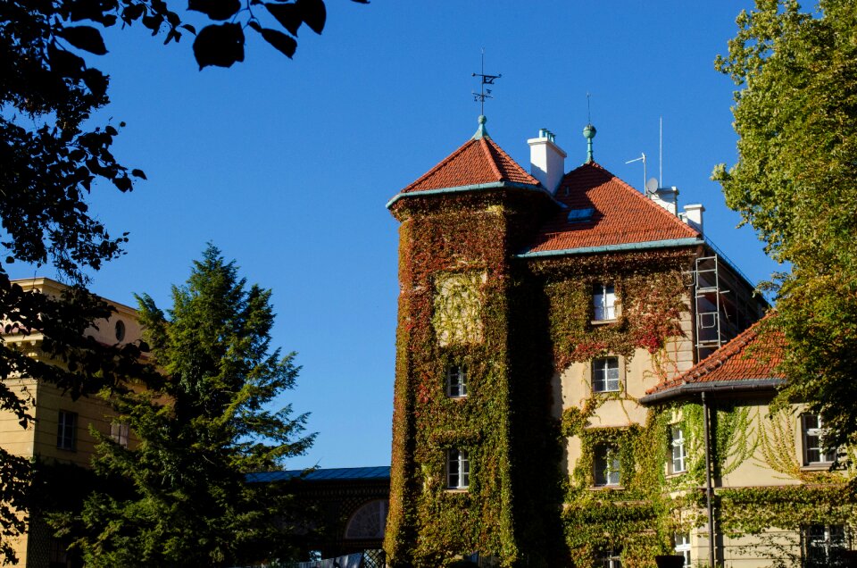 Vines castle monument