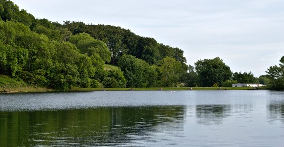 Water trees fishery