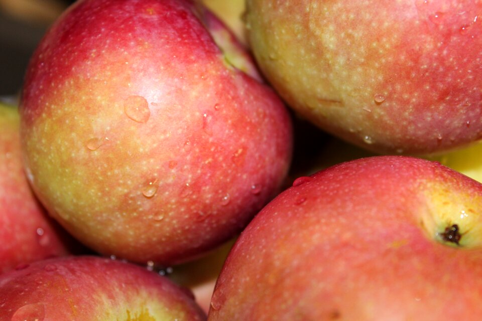 Fruit groceries healthy