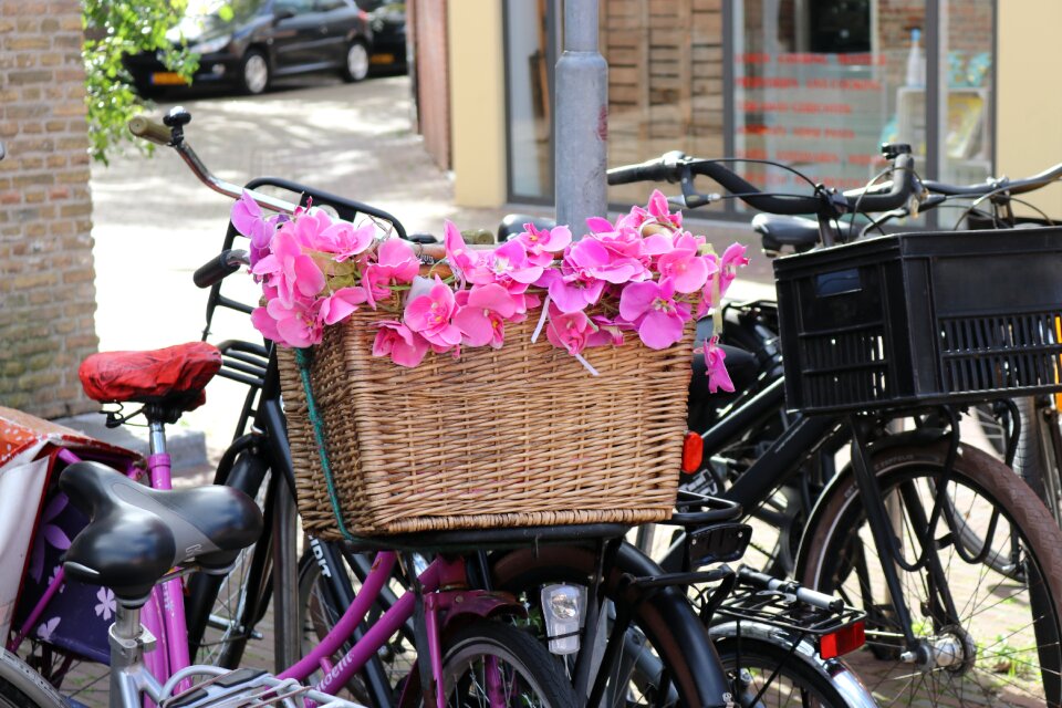 Pink holland wheel decoration
