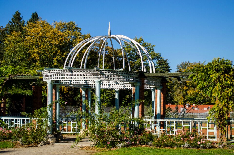 Park garden terrace garden
