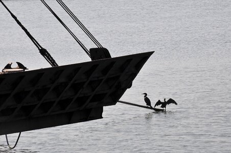 Ship dark shapes