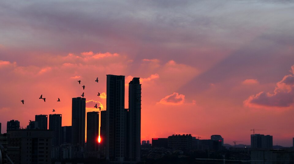 Life shenzhen sunset photo