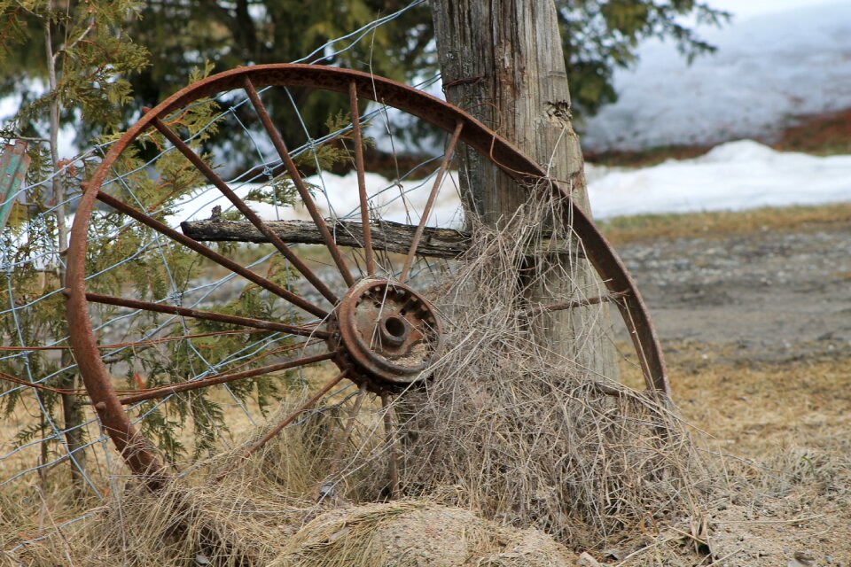 Old vintage antique