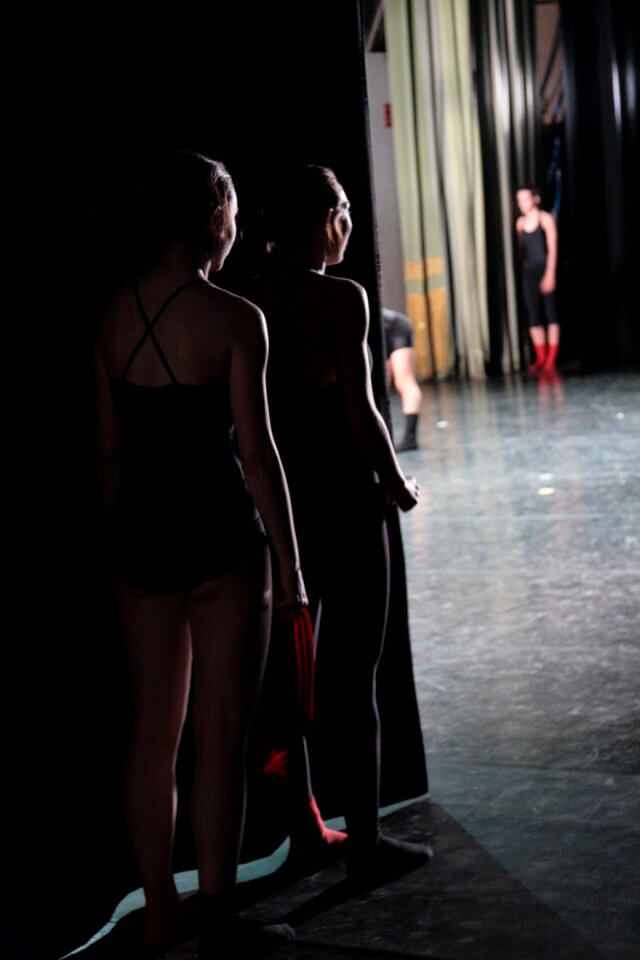 Baletnice the dancers performance