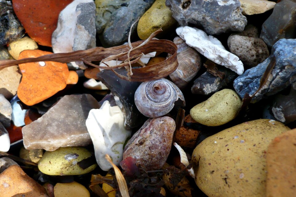 Casing spiral vacations