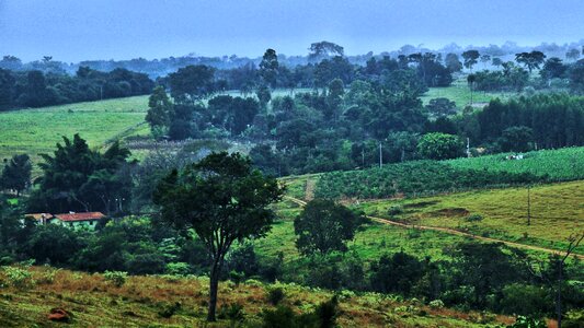 Nature agriculture culture