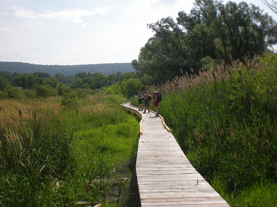 Landscape wilderness scenery