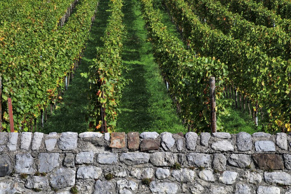 Stone structure background