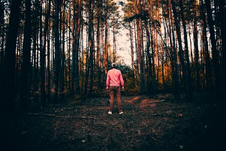 Male forest autumn