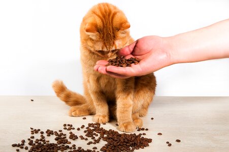 Redhead hand coffee photo