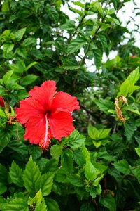 Summer exotic colorful