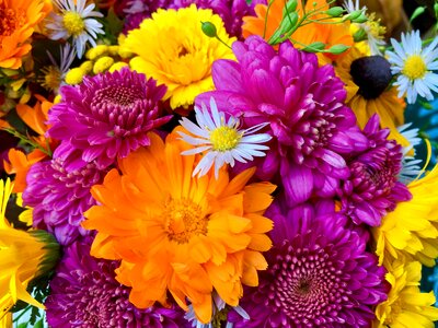 Colorful still life cheerful photo