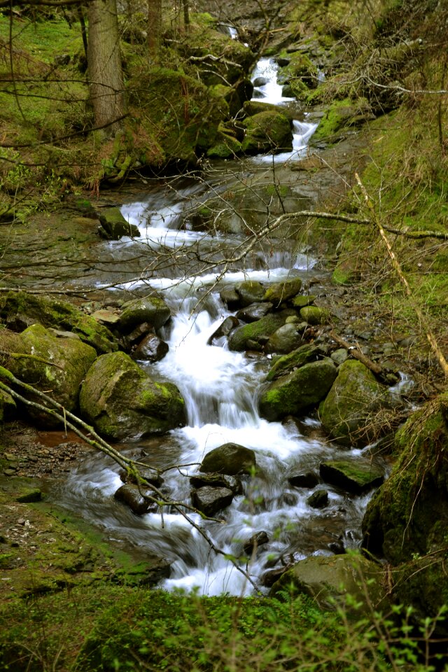 Bach nature water