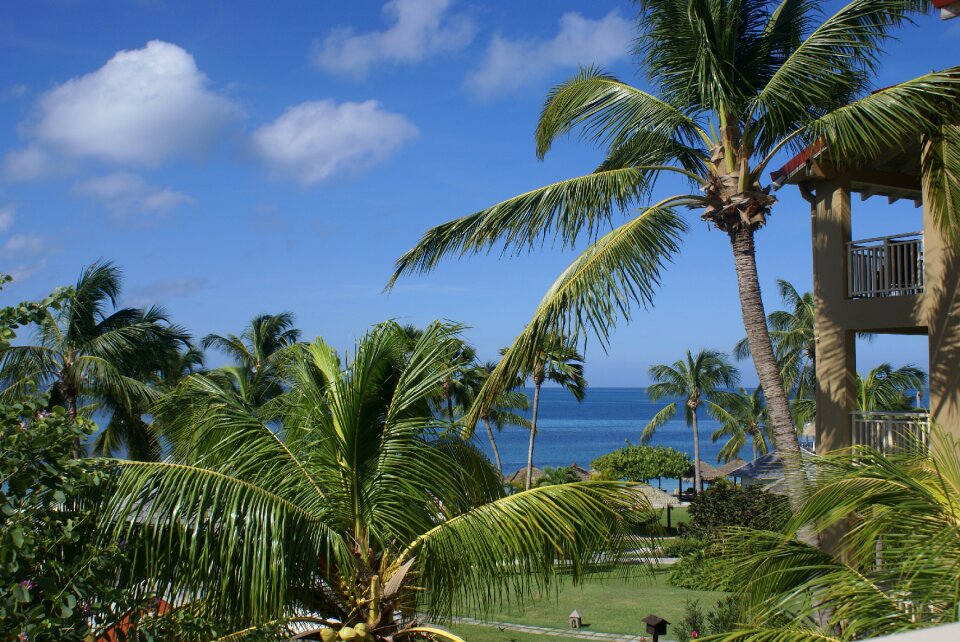 Vacation paradise tropical
