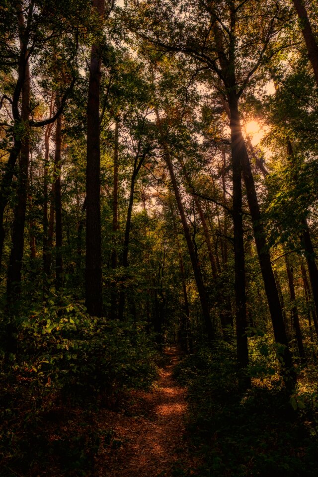 Hiking trail travel