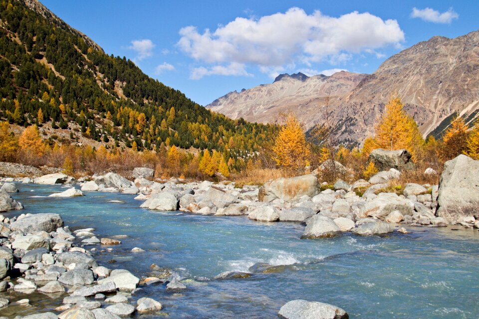 Larch discoloration mountains autumn motives