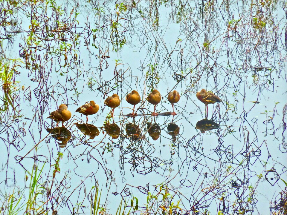 Standing lineup reflections