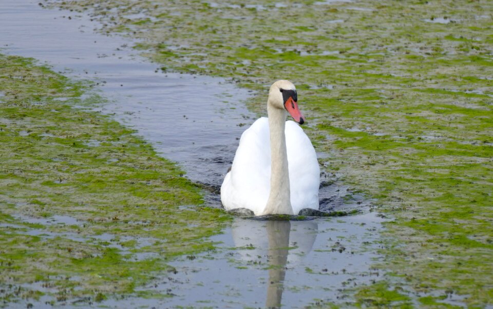 Autumn water nature reserve