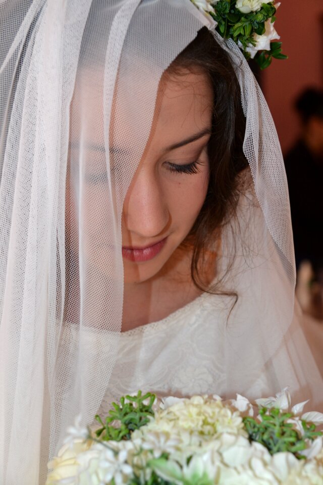Bride the veil wedding