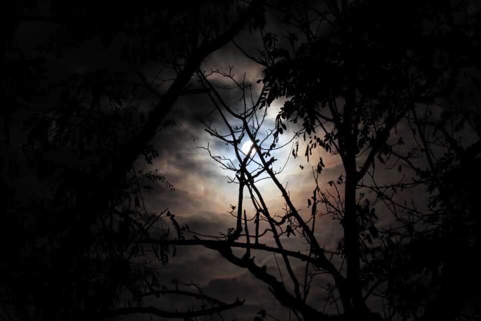 Mood twilight atmospheric