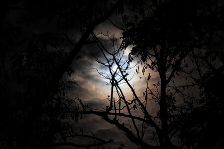 Mood twilight atmospheric photo
