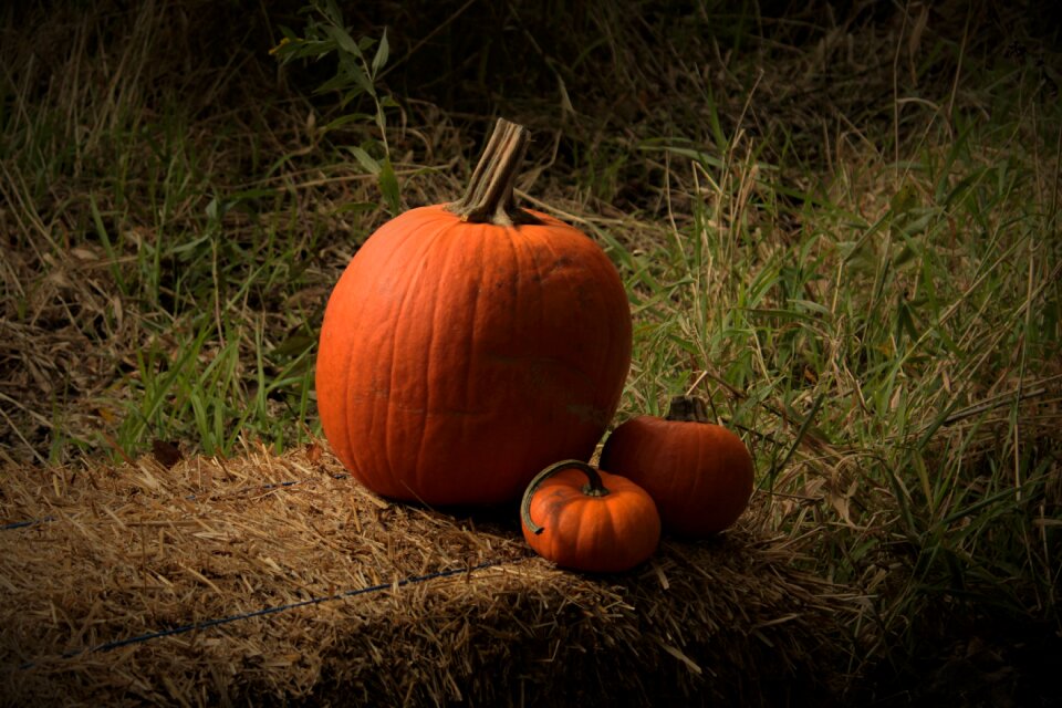 Halloween october orange