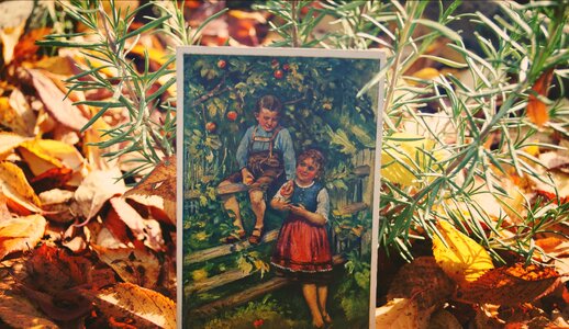 Leaves postcard autumn colours