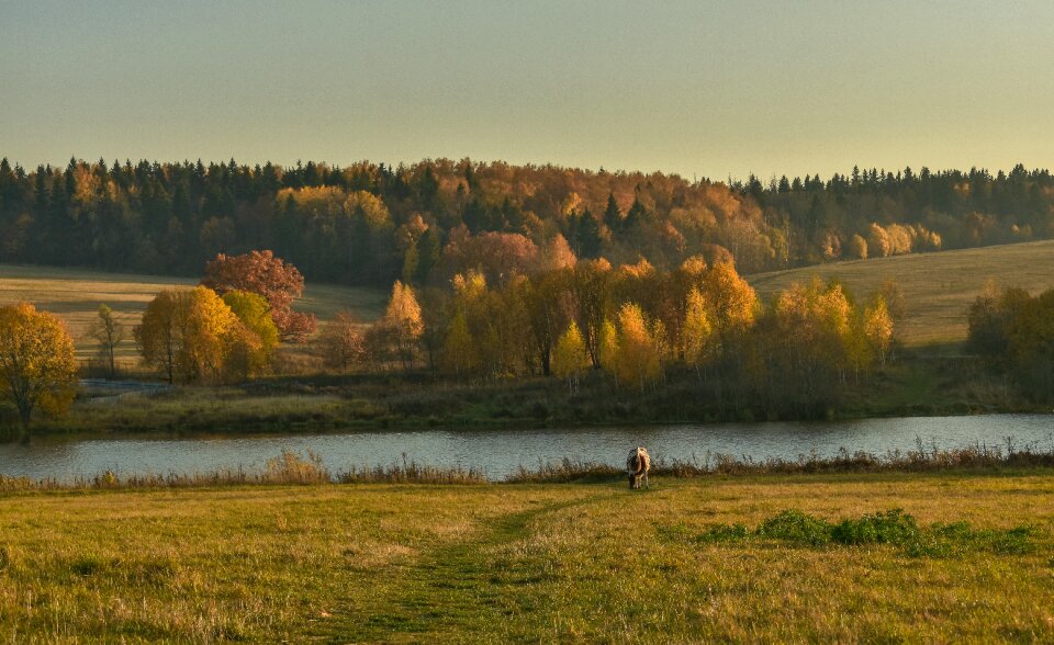 Lake autumn yt