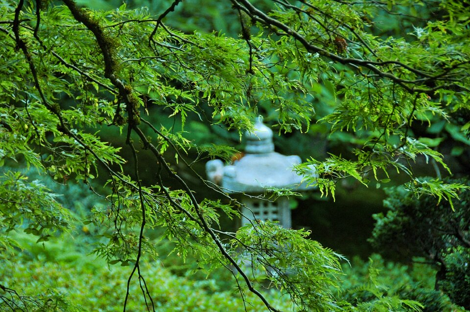 Meditation spirituality peace