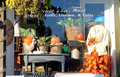 Autumn color pumpkins