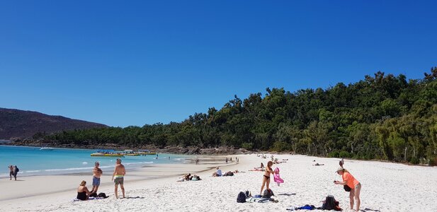 Whitehaven beach australia beach