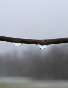 Dewdrop autumn refraction raindrop photo