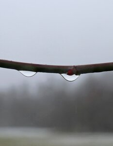 Dewdrop autumn refraction raindrop