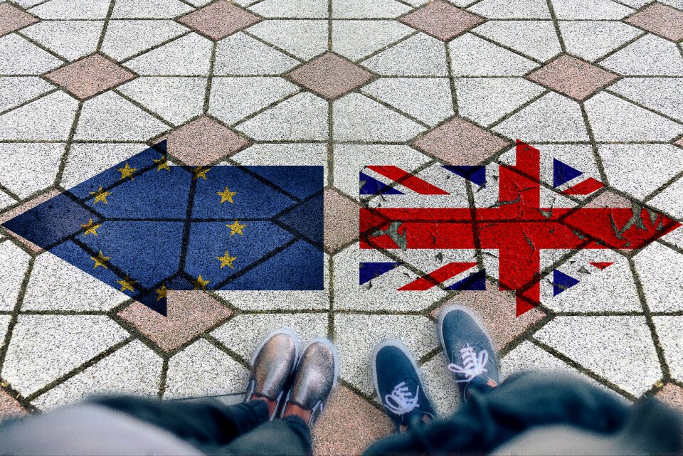 Eu policy referendum