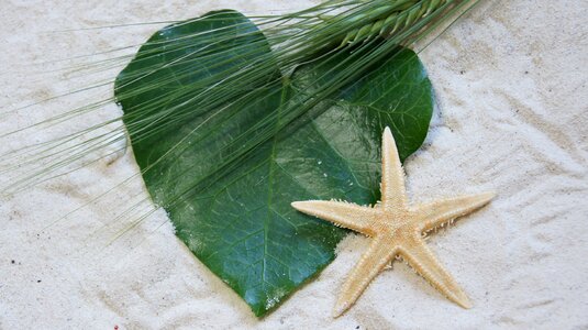 Leaf nature decoration