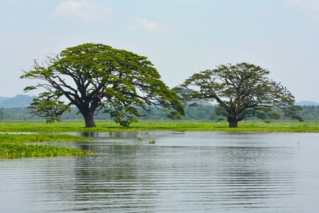 Lake landscape travel