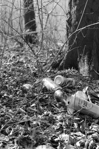 Mood autumn garbage